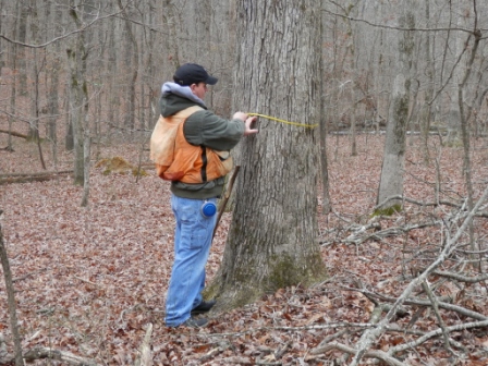 Timber Inventory Assessment